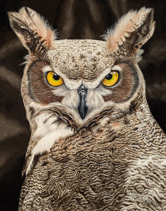 570x725 Great Horned Owl Painting Print Owl Painting Owl Close Up - Great Horned Owl Painting