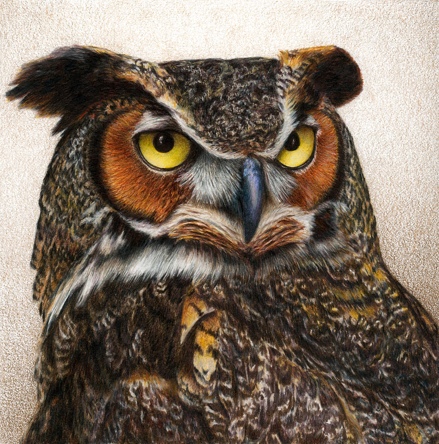 890x900 Great Horned Owl Paintings Fine Art America - Great Horned Owl Painting