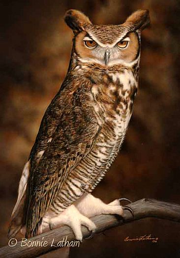 366x522 Great Horned Owl - Great Horned Owl Painting