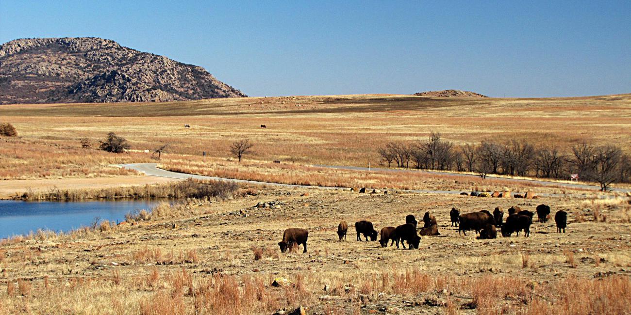 1300x650 Museum Of The Great Plains Science Museum Of Minnesota - Great Plains Painting