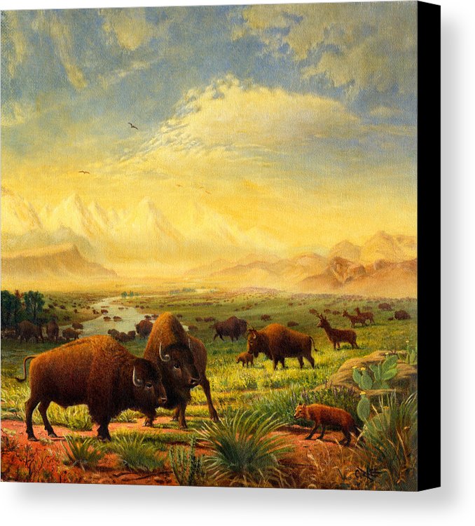 678x750 Buffalo Fox Great Plains Western Landscape Oil Painting - Great Plains Painting