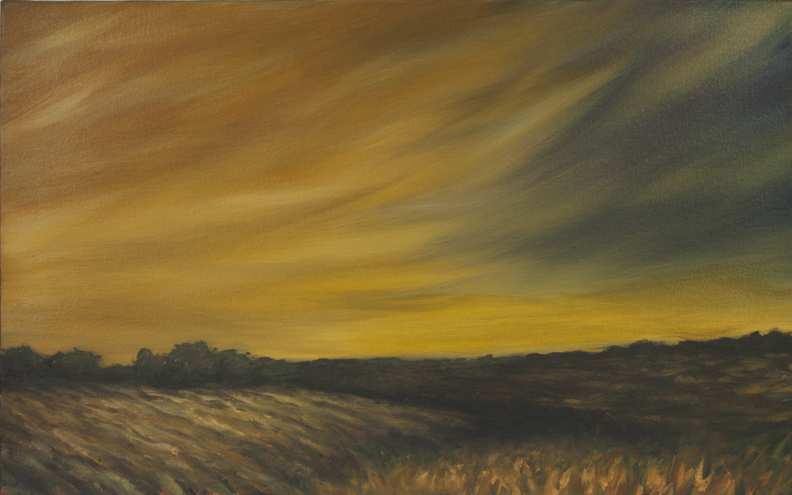 2602x1627 Fredzel Hoggard The United States Map - Great Plains Painting