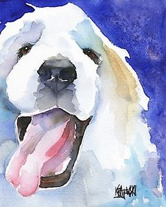 240x300 Great Pyrenees Dog Art Print Signed By Artist Ron Krajewski - Great Pyrenees Painting