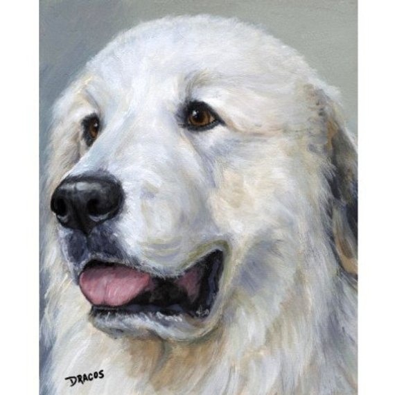 570x570 Great Pyrenees Dog Art Print Of Original Painting By Dottie - Great Pyrenees Painting