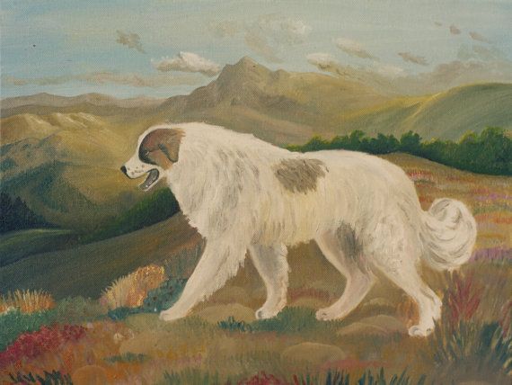 570x428 Great Pyrenees Oil Painting Guarding The Pyrenees By Thaneydesign - Great Pyrenees Painting