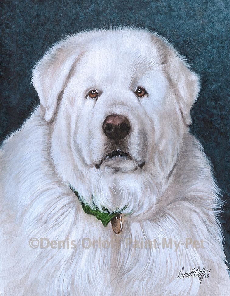 756x972 Great Pyrenees Paint My Dog Portraits Dog - Great Pyrenees Painting