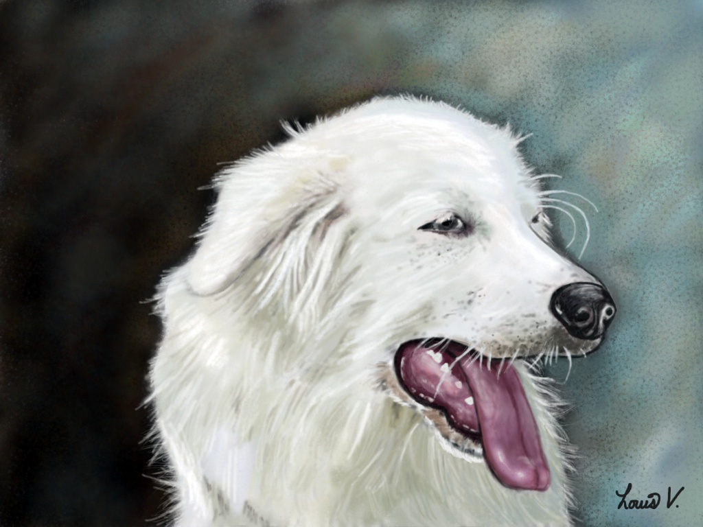 1024x768 Paintings - Great Pyrenees Painting