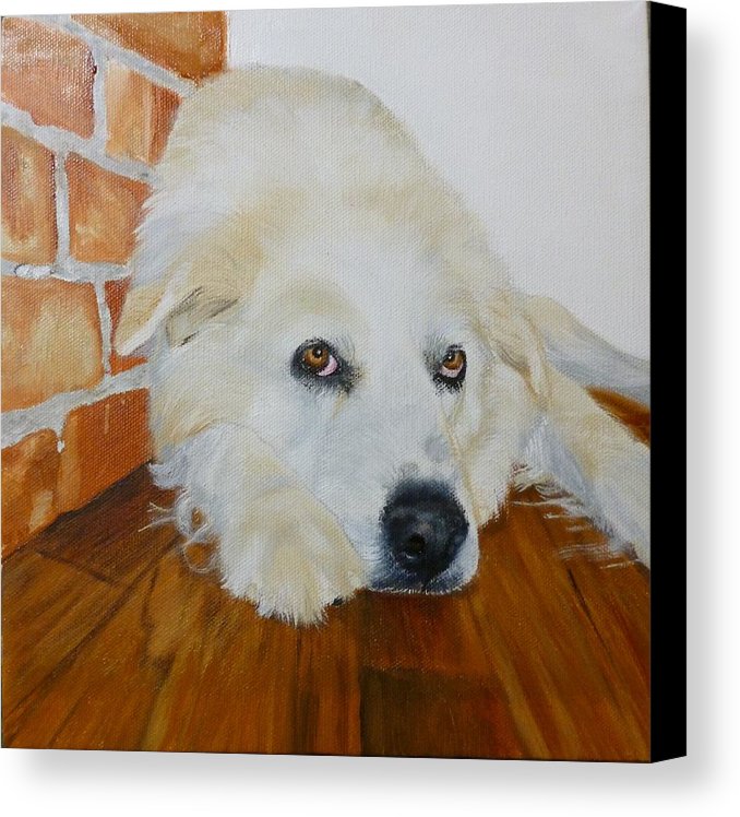678x748 Pet Portrait Great Pyrenees Original Oil Painting On Canvas 10 X - Great Pyrenees Painting