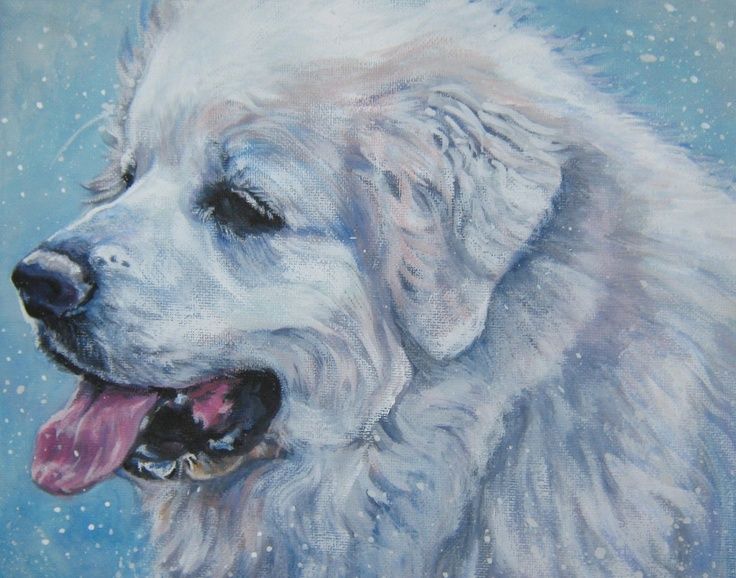 736x578 Drawing A Great Pyrenese Dog Great Pyrenees Art Print Canvas - Great Pyrenees Painting