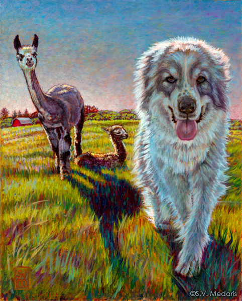 482x600 Great Pyrenees Archives - Great Pyrenees Painting