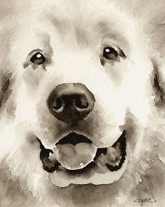 239x300 Great Pyrenees Art Print Sepia Watercolor Painting By Artist Djr - Great Pyrenees Painting