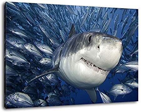 450x357 Great White Shark Format 47x31,5 Painting On Canvas, Xxl Huge - Great White Painting