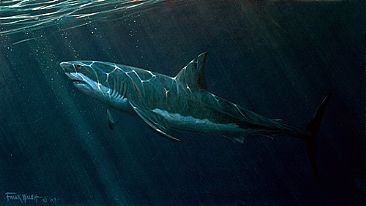 366x206 Great White Shark - Great White Painting
