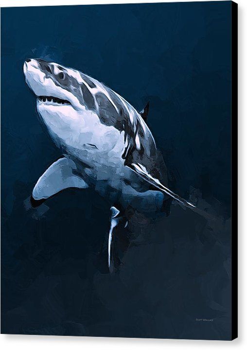 508x720 Great White Shark Canvas Print Canvas Art By Scott Wallace - Great White Shark Painting