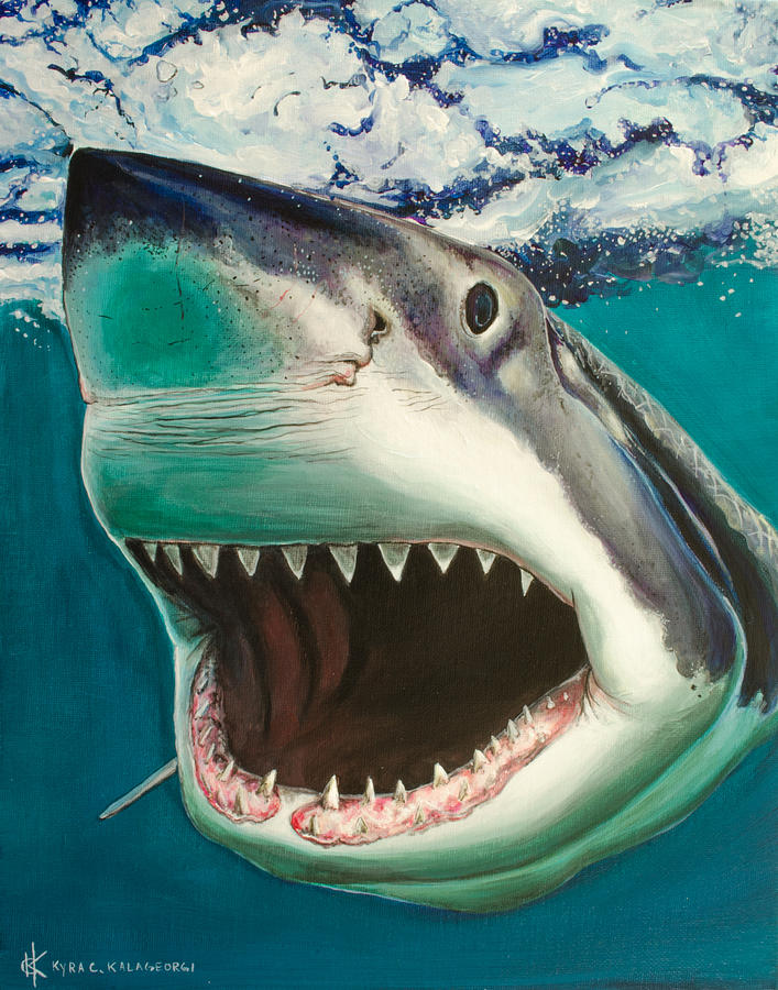 Great White Shark Painting at PaintingValley.com | Explore collection