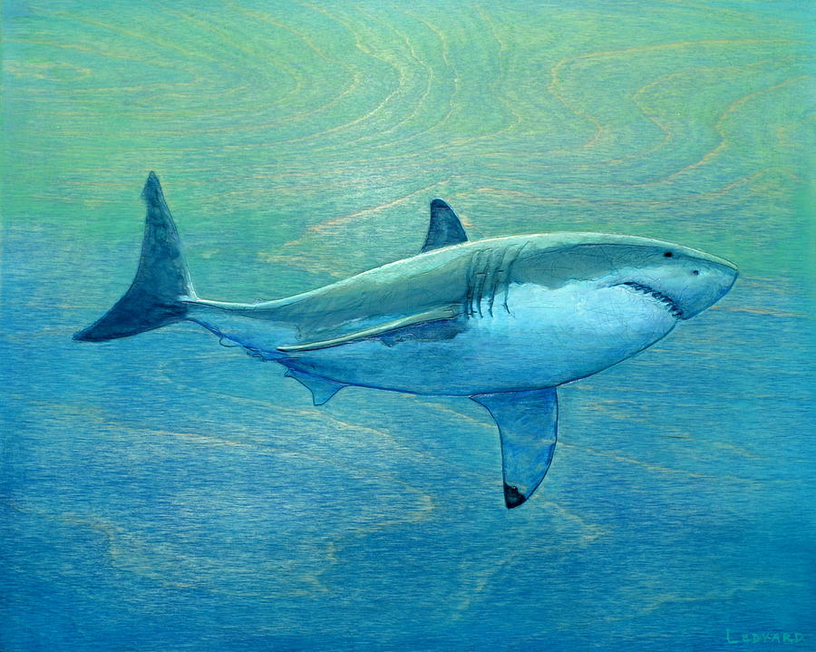 900x719 Shark Paintings Fine Art America - Great White Shark Painting