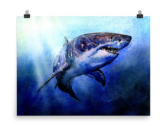 340x270 Shark Painting Etsy - Great White Shark Painting