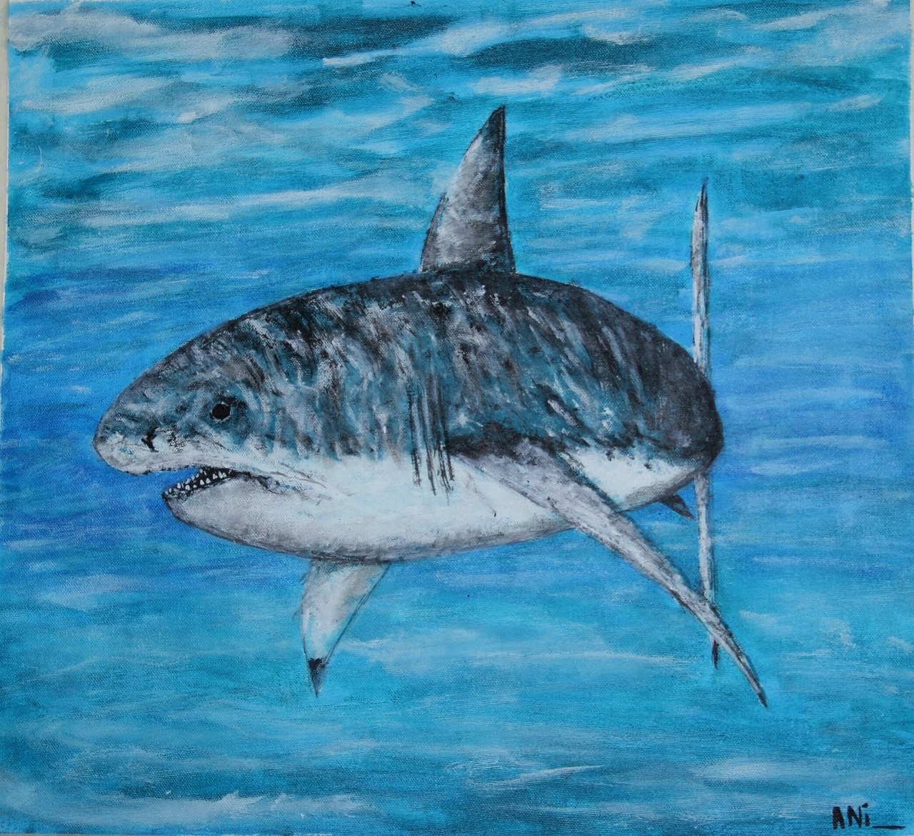 1280x1170 Buy Great White Shark Handmade Painting By Aniruddha Mokashi. Code - Great White Shark Painting