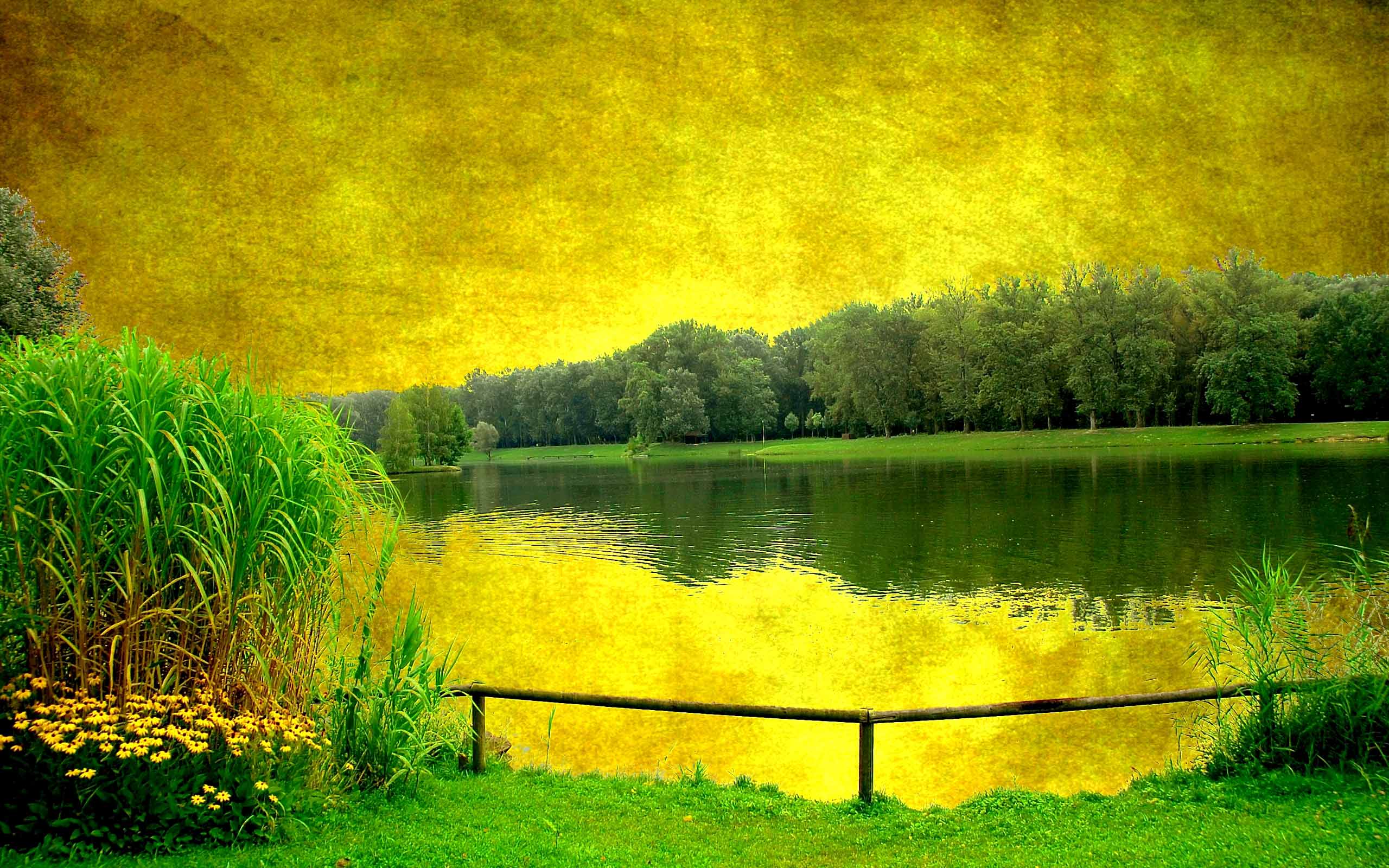 2560x1600 Painting Wallpapers 07 - Green And Yellow Painting