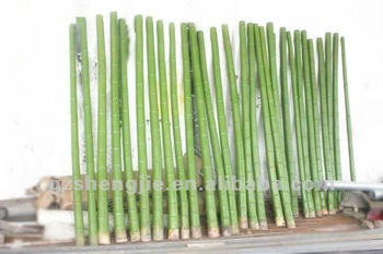 350x233 Sj Painted Artificial Green Round Bamboo Stick Bamboo Poles Cheap - Green Bamboo Painting