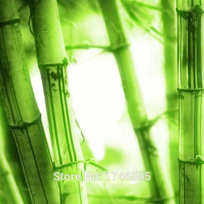 709x709 Big 3pieces Modern Home Decor Wall Art Picture Printed Green - Green Bamboo Painting