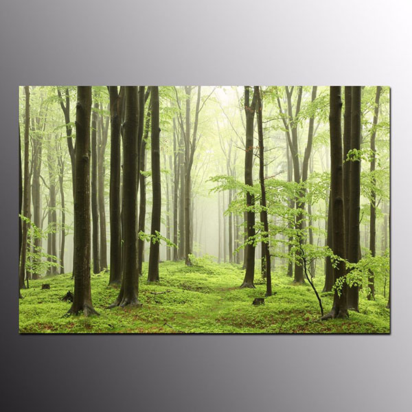 600x600 Hd Canvas Print Wall Decor Art Green Forest Canvas Wall Art - Green Forest Painting