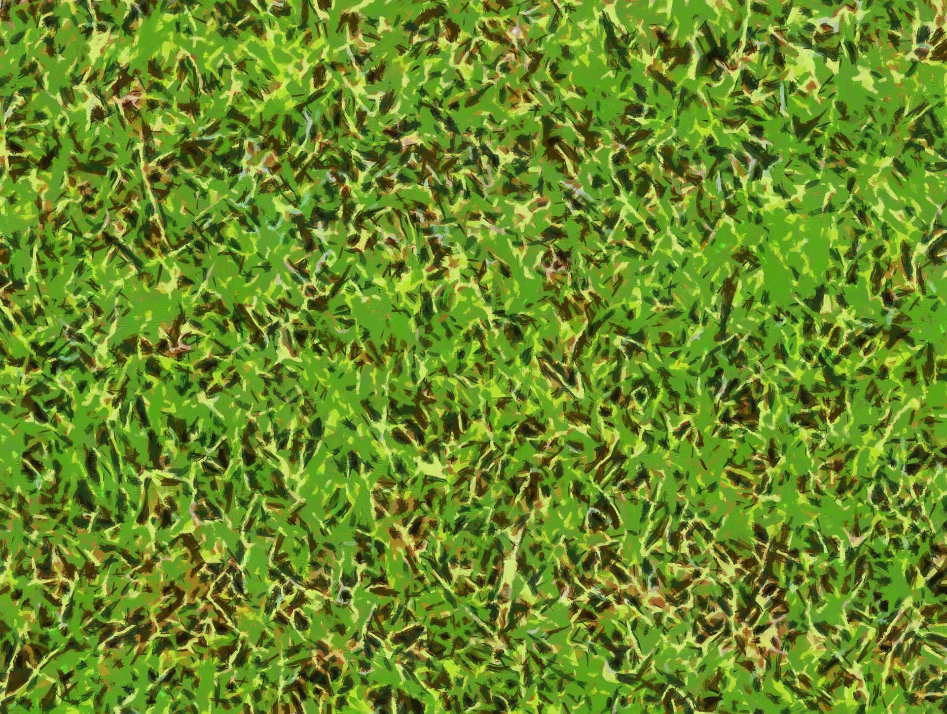 1920x1449 Grass Painting Free Stock Photo - Green Grass Painting
