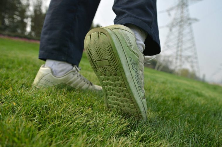 758x504 Grass Suspected Of Being Spray Painted Green In Chengdu - Green Grass Painting