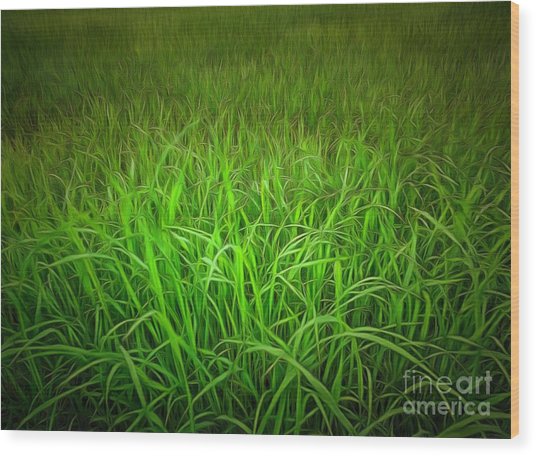 536x456 Original Watercolor Painting Of Green Grass Field Painting By - Green Grass Painting