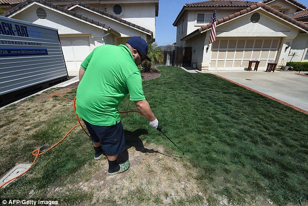 634x424 The Not So Emerald City Now Californians Are Spray Painting Their - Green Grass Painting