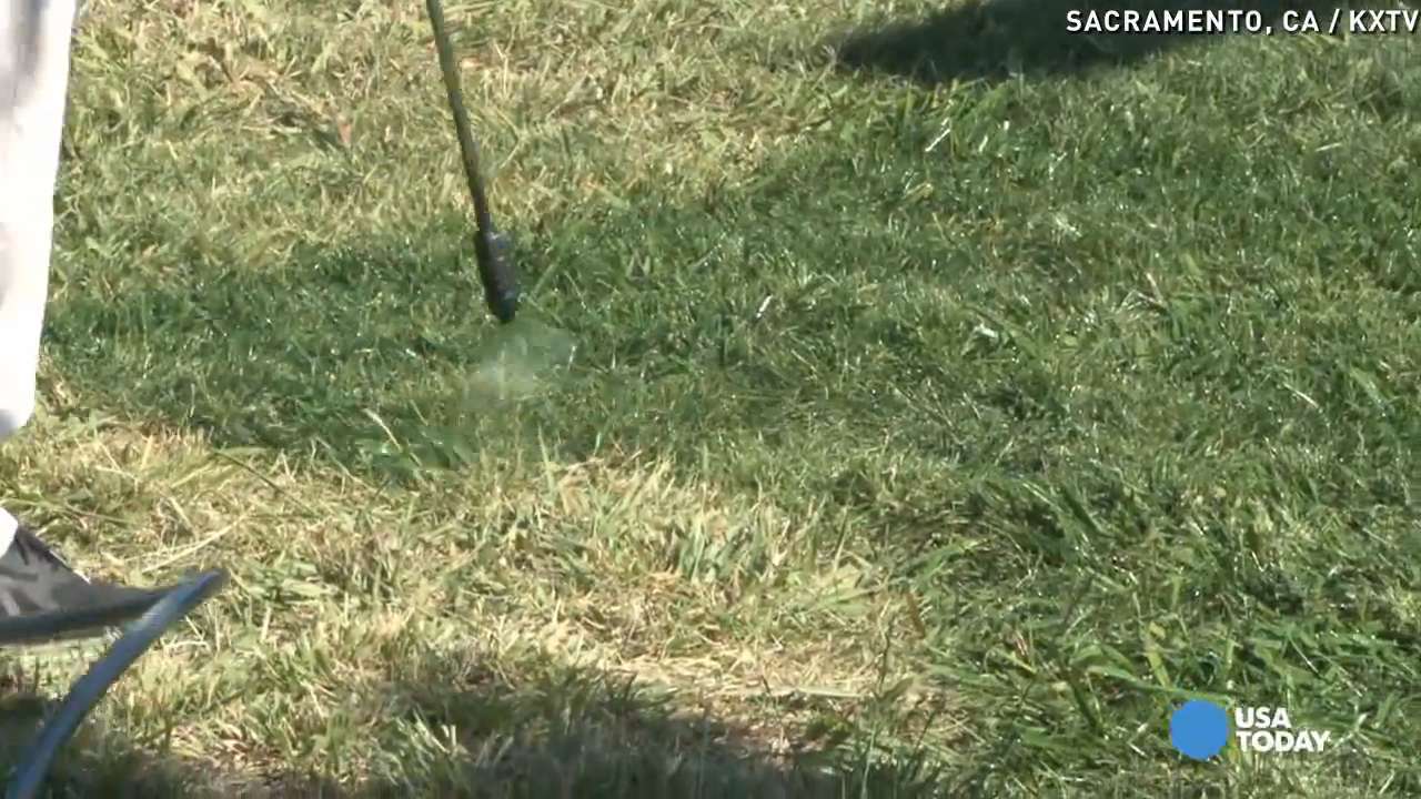 1280x720 California'S - Green Grass Painting