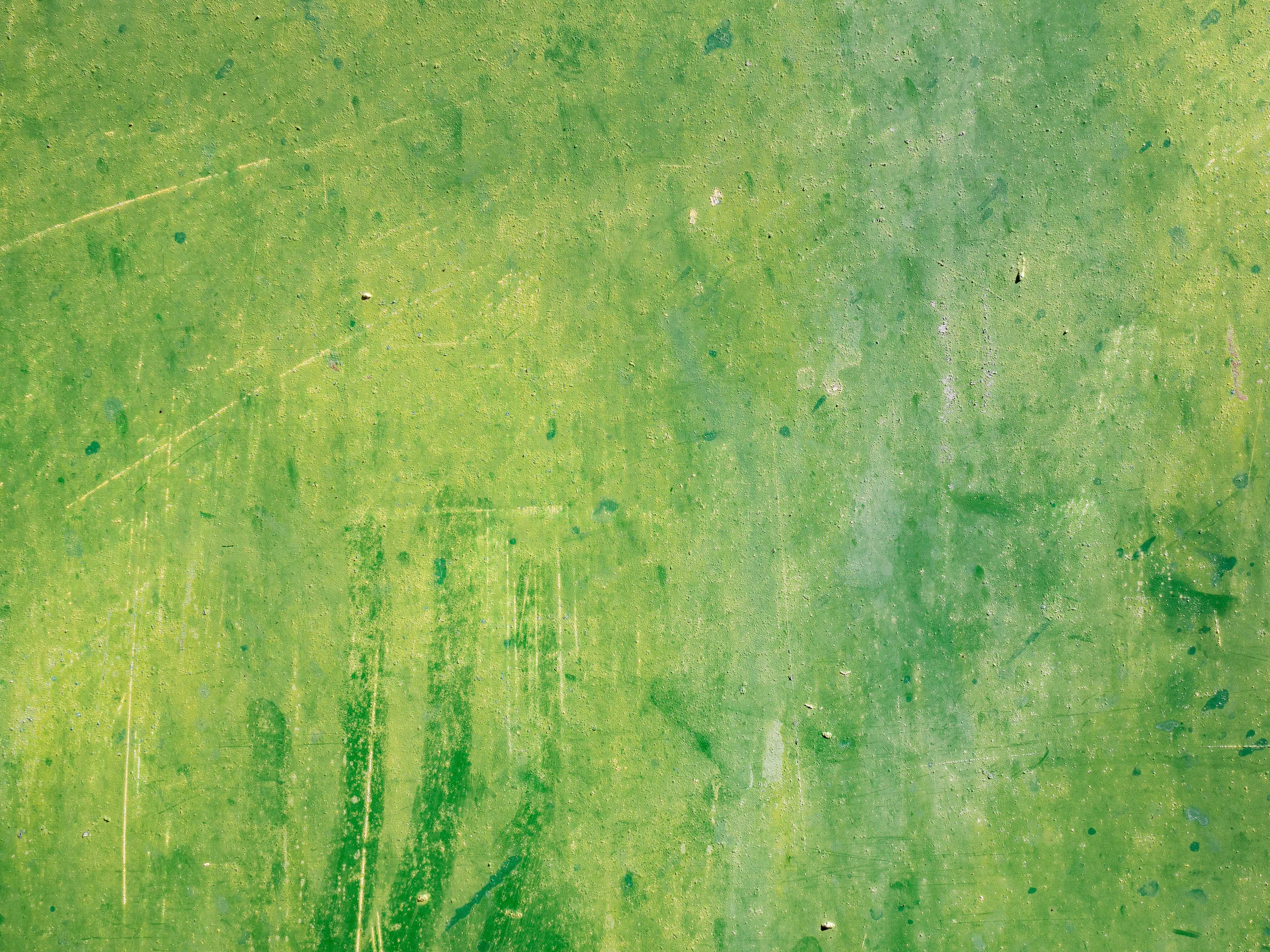 4608x3456 Free Images Grass, Structure, Field, Lawn, Sunlight, Texture - Green Grass Painting