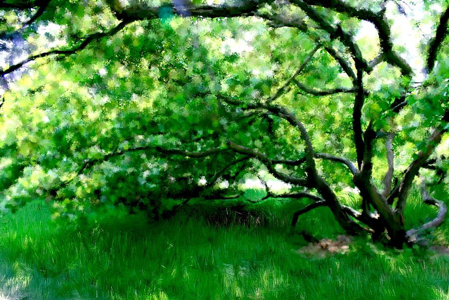 900x601 Green Tree Painting By Rita Amirahmadi - Green Tree Painting