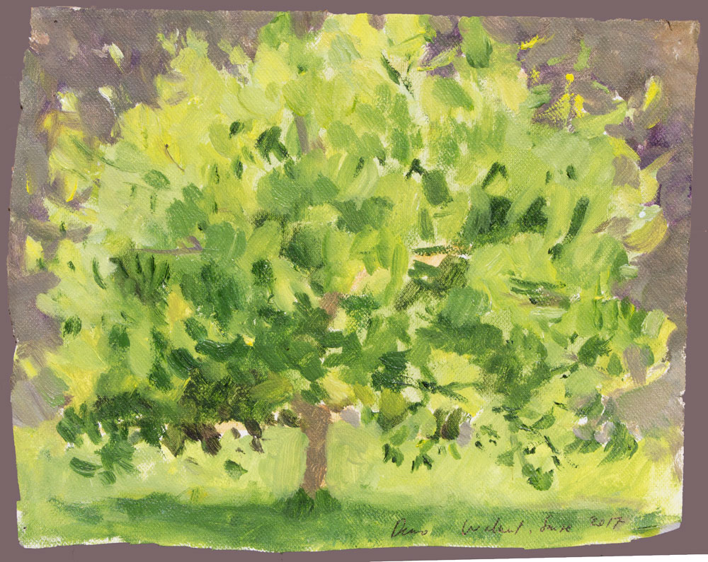 1000x795 Paintings Of Trees - Green Tree Painting