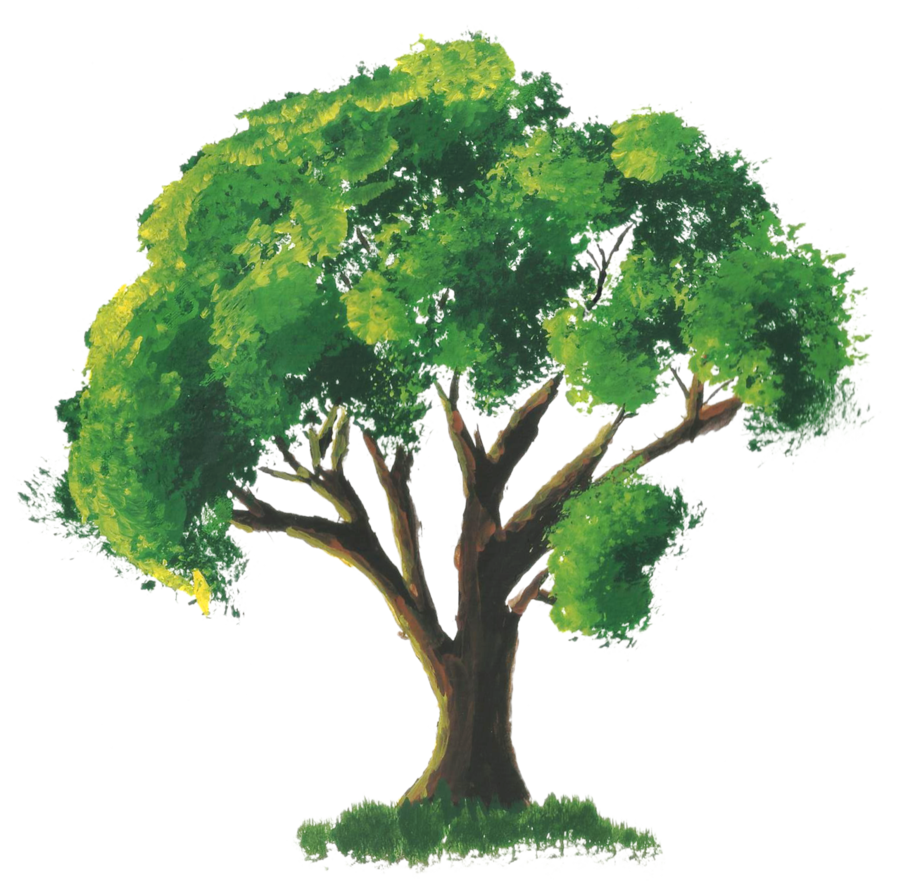 901x887 Stock Tree Painting By Legendofficial - Green Tree Painting