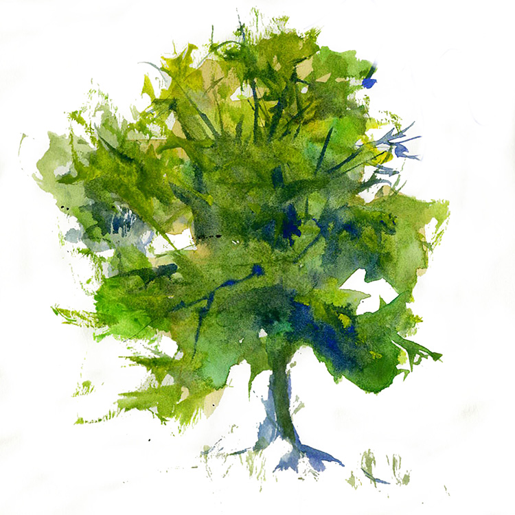 750x750 Watercolor Painting A Green Tree Watercolor Painting Lesson By - Green Tree Painting