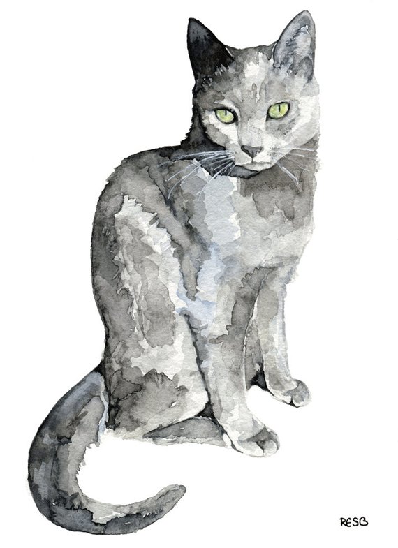 570x785 Grey Cat Painting Print From My Original Watercolor Painting - Grey Cat Painting