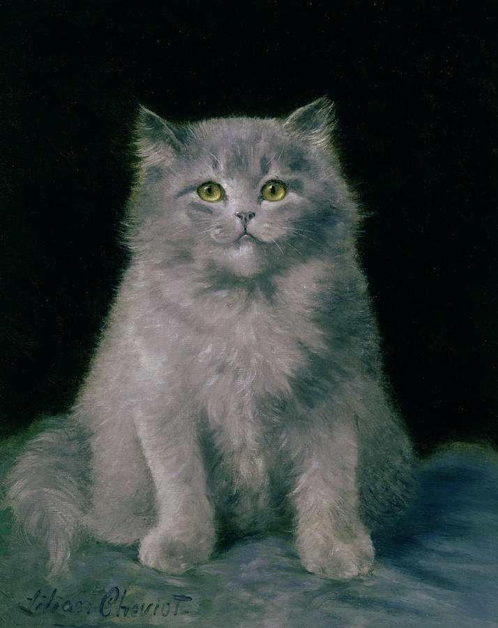 714x900 Grey Cat Paintings Fine Art America - Grey Cat Painting