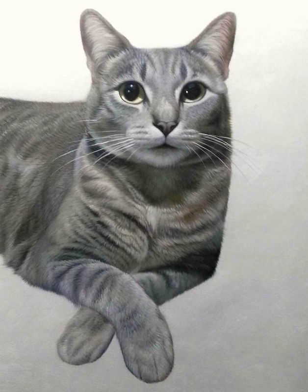 628x800 No Costume - Grey Cat Painting