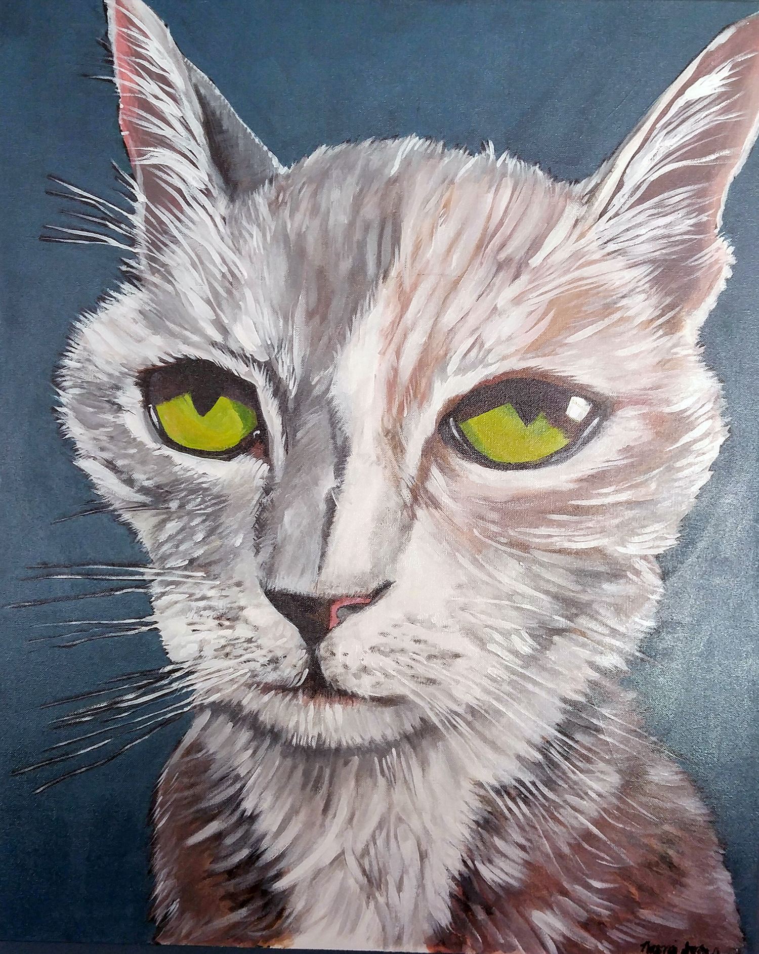 Grey Cat Painting at PaintingValley.com | Explore collection of Grey ...