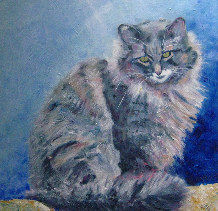 Grey Cat Painting at PaintingValley.com | Explore collection of Grey ...