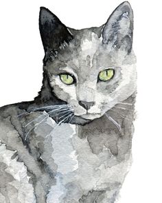 236x295 Grey Cat Painting Print From My Original Watercolor Painting - Grey Cat Painting
