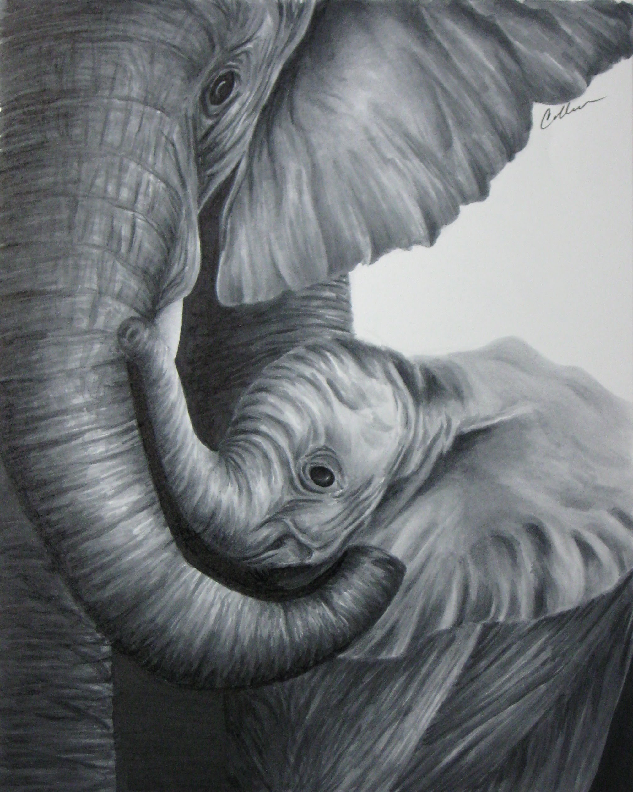 2016x2519 Elephant Mom And Baby Timelapse Copic Marker Drawing - Grey Elephant Painting