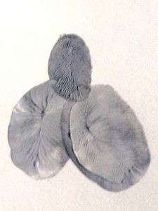 225x300 Finger Painting - Grey Elephant Painting