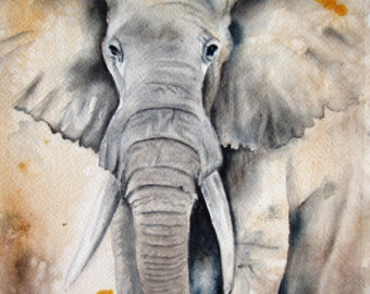 340x270 Items Similar To Elephant Fine Art Print From Watercolor Painting - Grey Elephant Painting