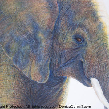 354x354 Shop Elephant Paintings For A Nursery On Wanelo - Grey Elephant Painting