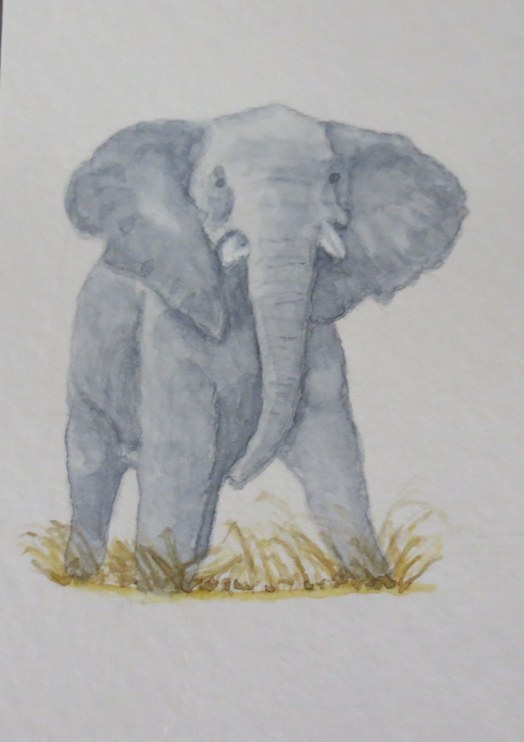 1686x2387 Short Tusked African Elephant By Addison Aceo Original - Grey Elephant Painting