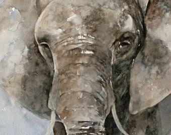 340x270 Elephant Fine Art Print From Watercolor Elephant Painting - Grey Elephant Painting