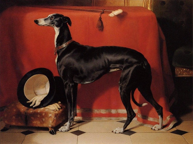 640x479 Good Quality - Greyhound Painting