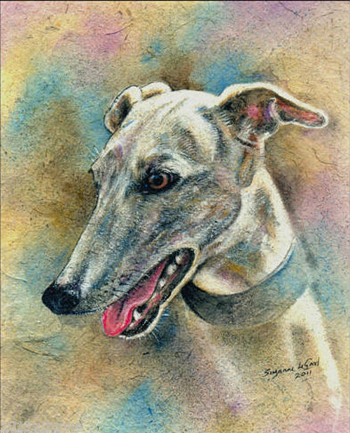 500x618 Greyhound Dog Large Signed Print From Original Painting By Suzanne - Greyhound Painting